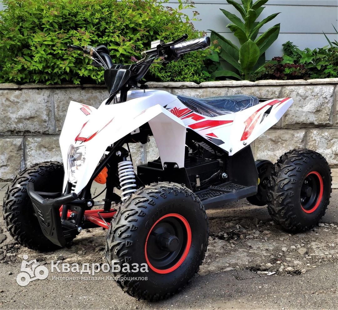 Детский электроквадроцикл Motax Gekkon 1300W